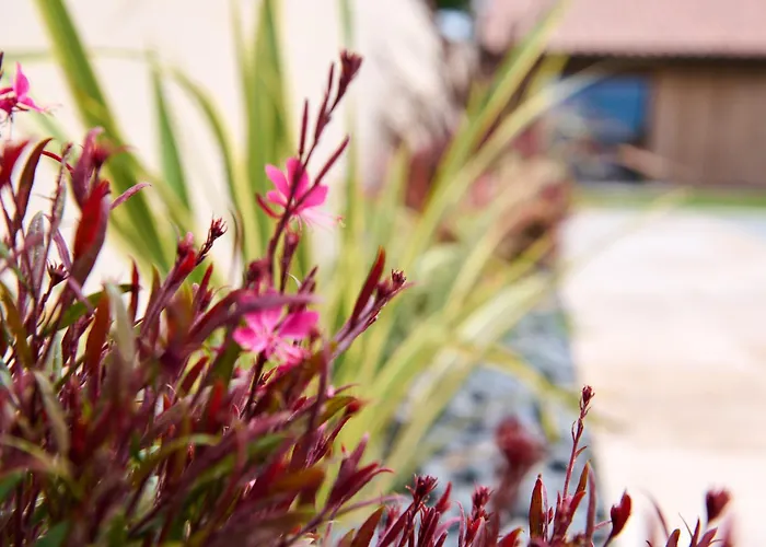 Couette-café Le Repaire Lagardère Lussac (Gironde)